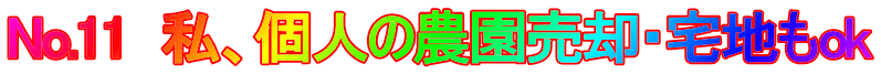 No.11　私、個人の農園売却・宅地もok